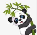 WWW,www31·COM网站APPAPP应用